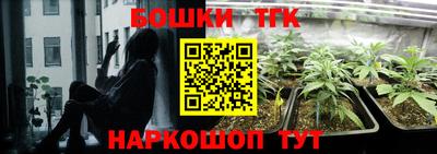 тгк Рыбинск
