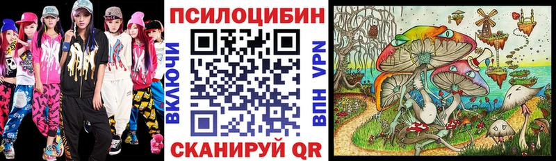 Псилоцибиновые грибы Cubensis Балашов