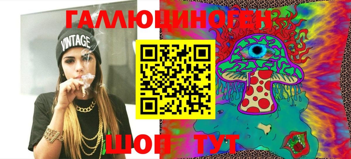 Галлюциногенные грибы Psilocybine cubensis Балашов