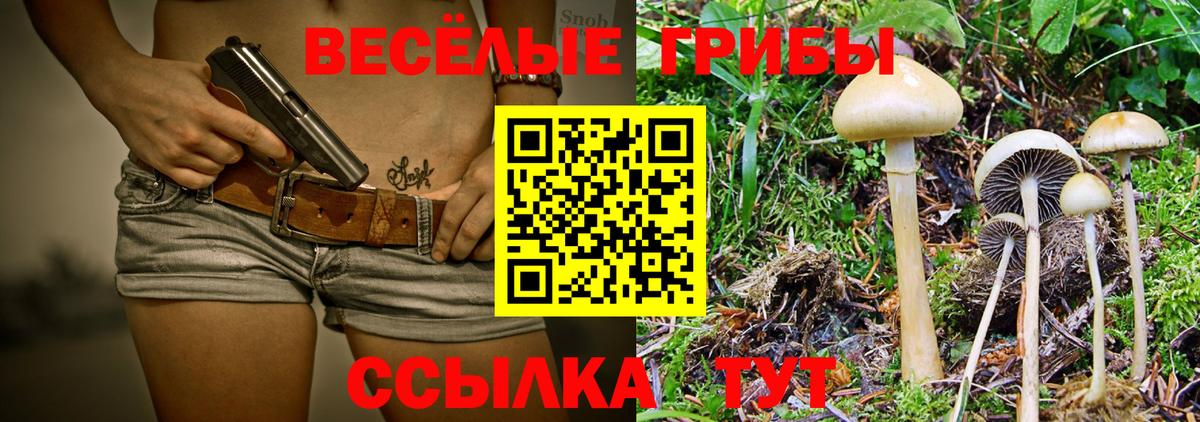 Балашов  Псилоцибиновые грибы мухоморы  Вход с VPN 