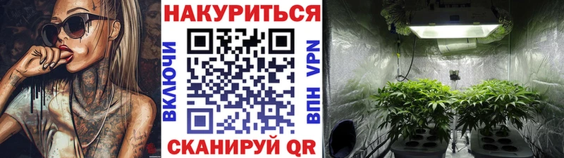 что такое наркотик  Балашов  mega ССЫЛКА  Шишки марихуана гибрид 