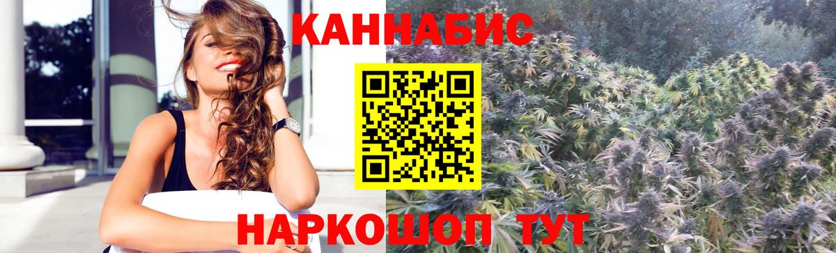 Каннабис семена  Вход с VPN  Балашов  Бошки Шишки SATIVA & INDICA  Бошки Шишки конопля 